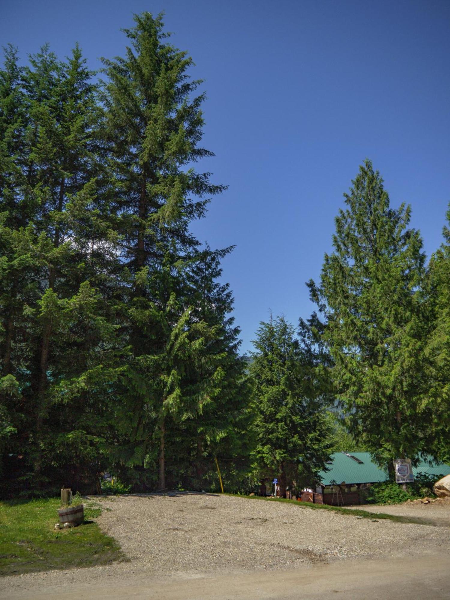 Noah'S Ark Campground เรเวลสโตก ภายนอก รูปภาพ